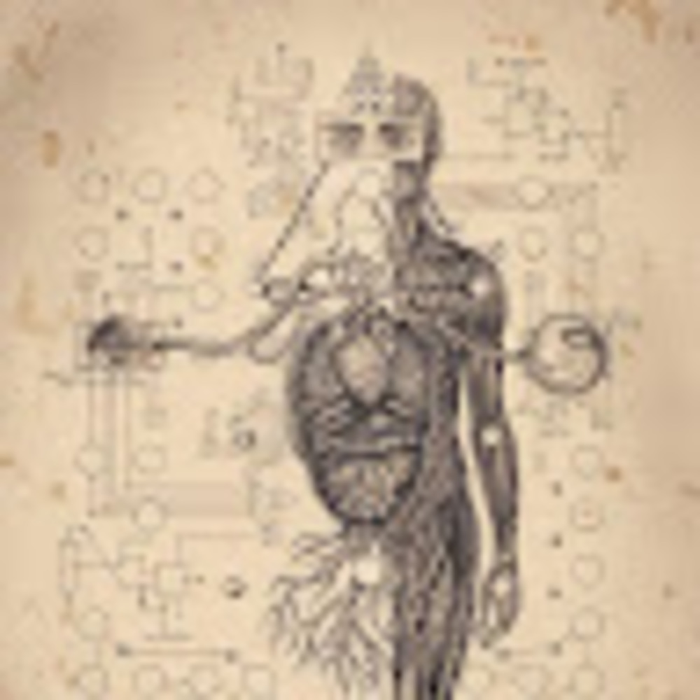 Meet your Posher, Nola